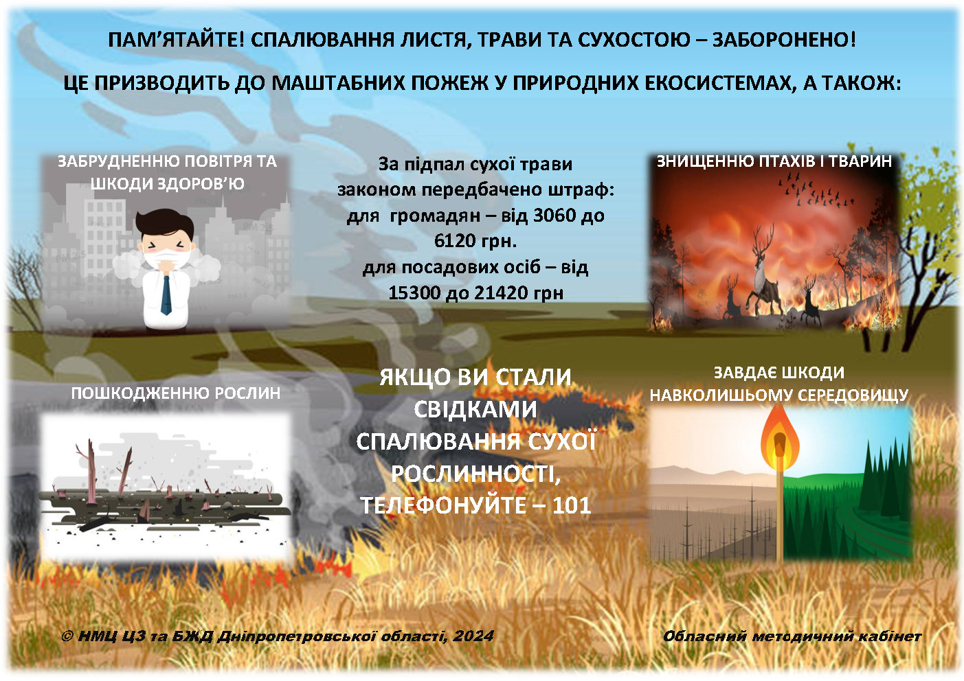 суха трава (1)